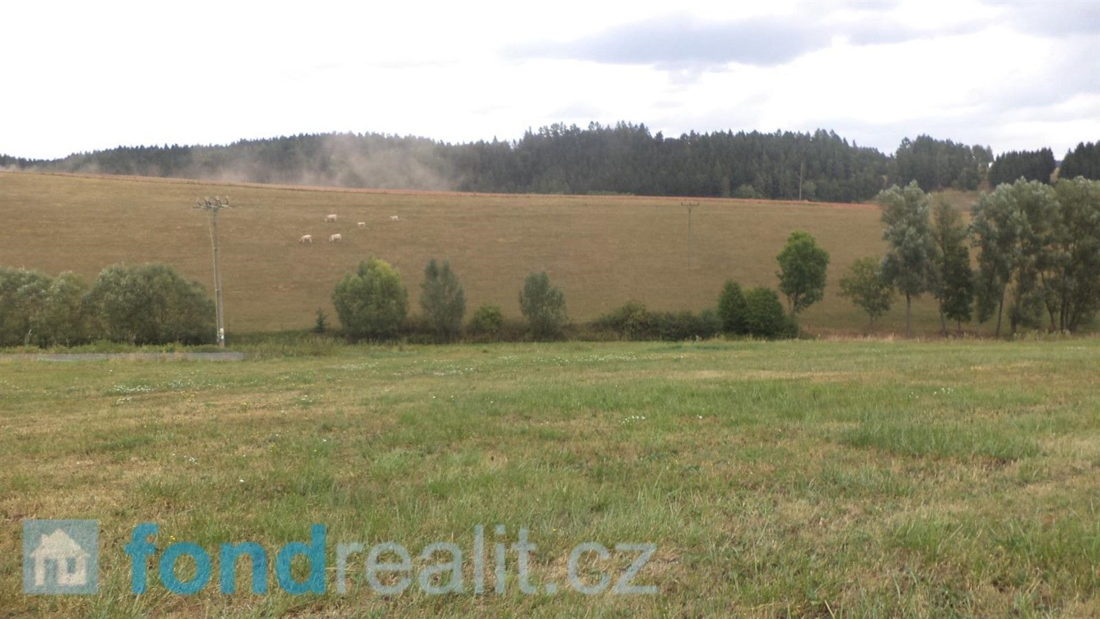 Prodej zemědělský pozemek - Nová Paka, 5 510 m²