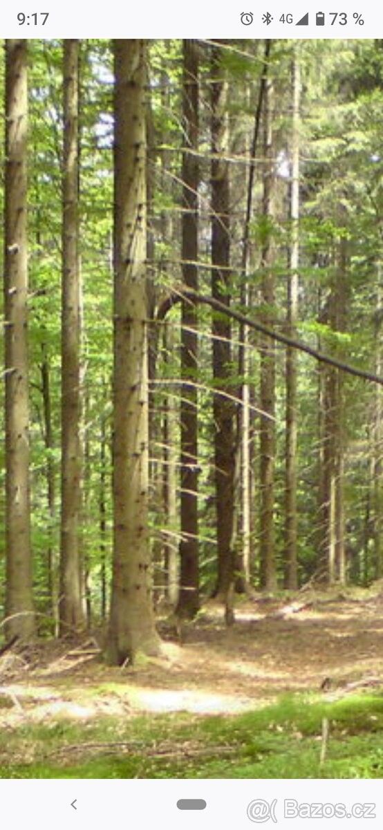 Prodej les - České Budějovice, 370 11