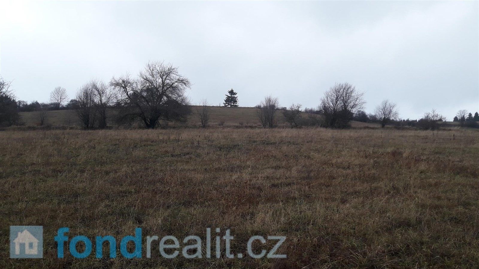Prodej zemědělský pozemek - Teplice nad Metují, 29 954 m²