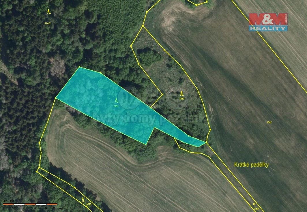 Prodej les - Náměšť nad Oslavou, 675 71, 19 546 m²