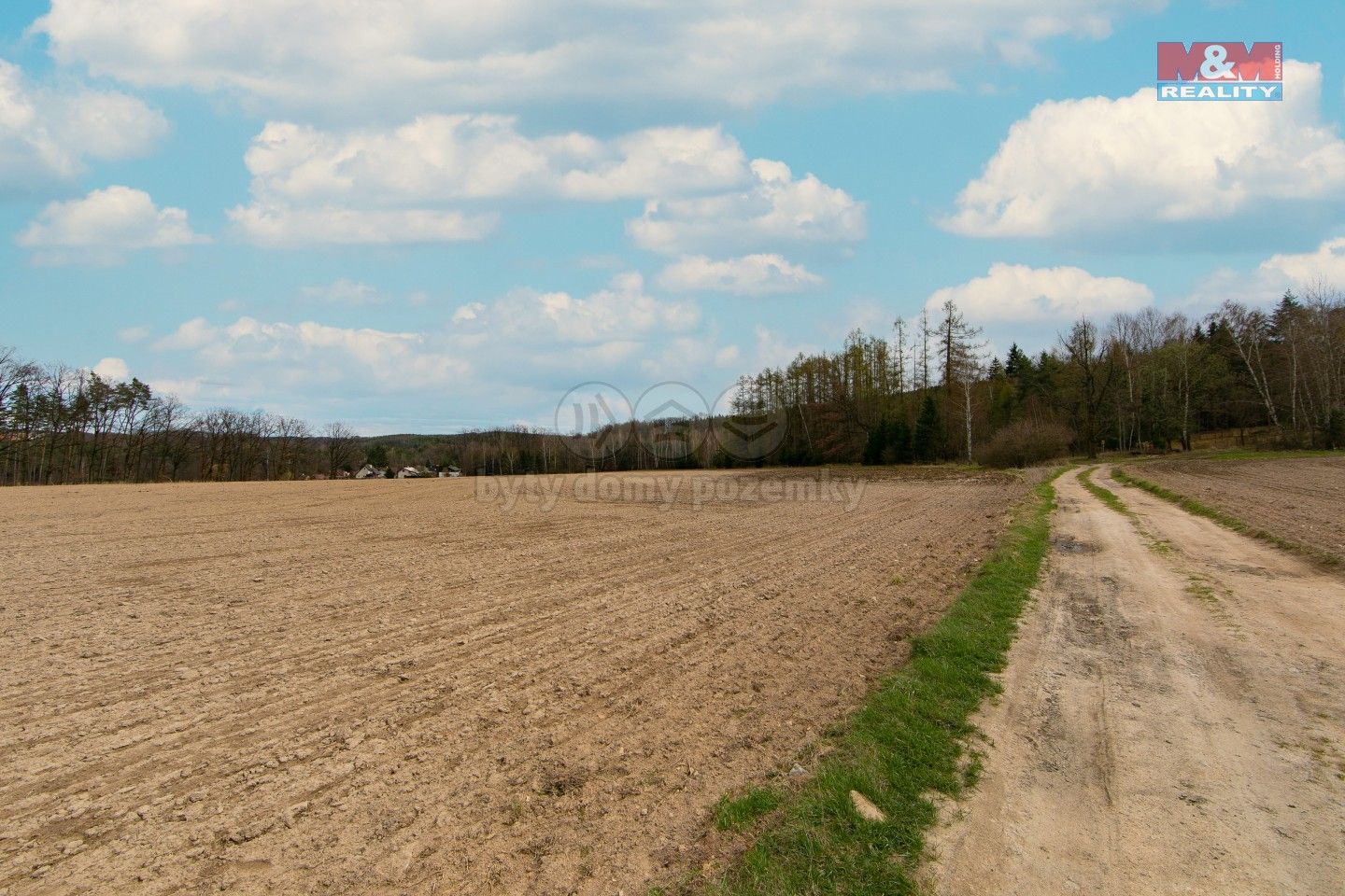 Prodej zemědělský pozemek - Předenice