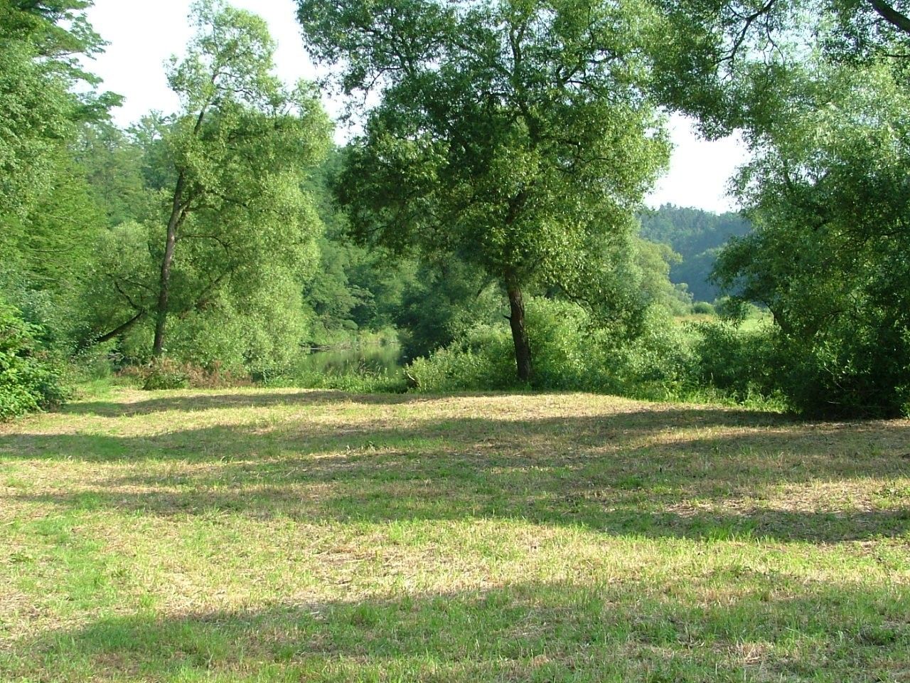 Zemědělské pozemky, Nynice, Hromnice, 58 631 m²