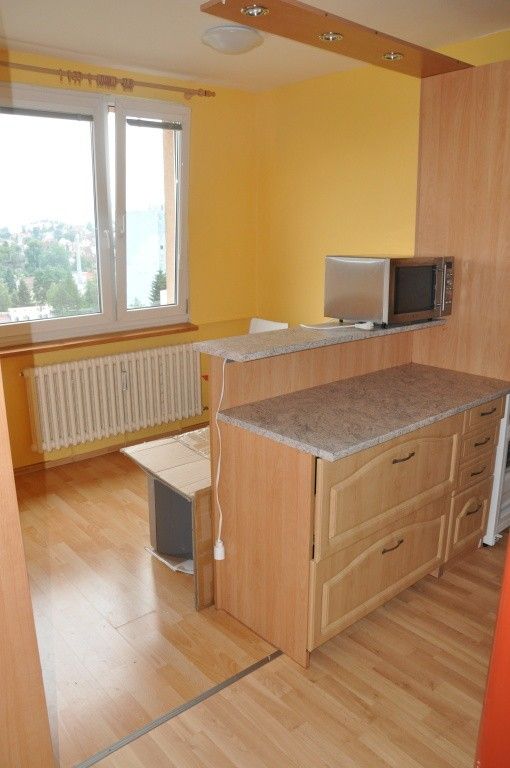 Pronájem byt 1+1 - Liberec, 460 10, 38 m²
