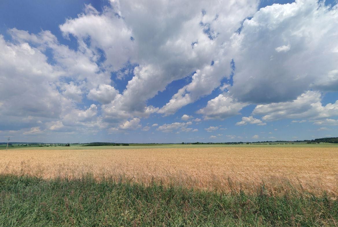 Zemědělské pozemky, Řepeč, 19 615 m²