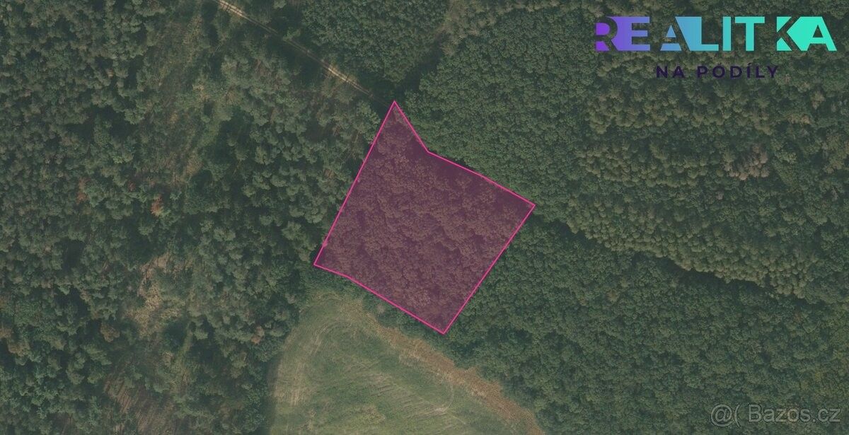Lesy, Lázně Bohdaneč, 533 41, 7 304 m²