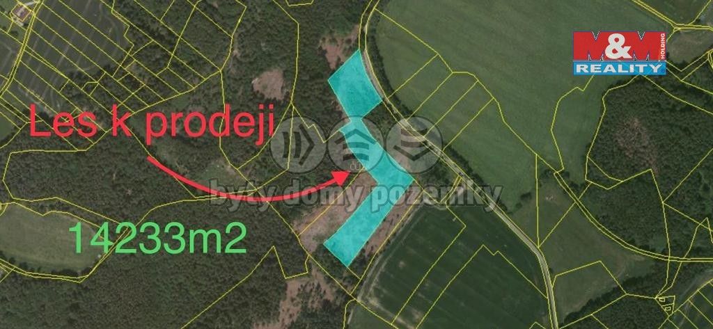 Prodej les - Nová Včelnice, 378 42, 14 233 m²
