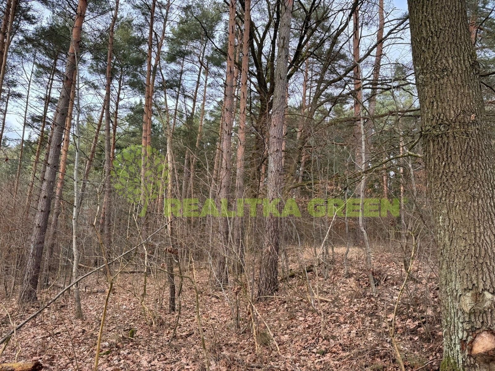 Lesy, Vrbětice, Vlachovice, 4 408 m²