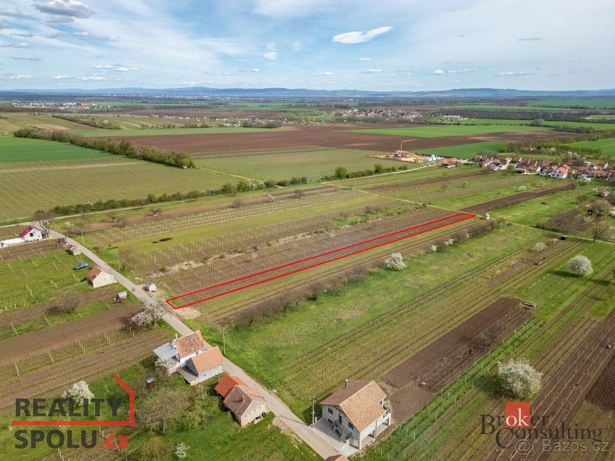 Prodej pozemek - Sedlec u Mikulova, 691 21, 1 280 m²