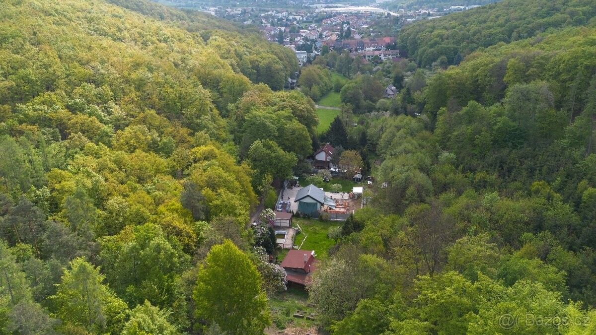 Prodej les - Brno, 621 00, 772 m²
