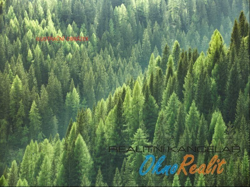 Prodej les - Oseček, 890 352 m²