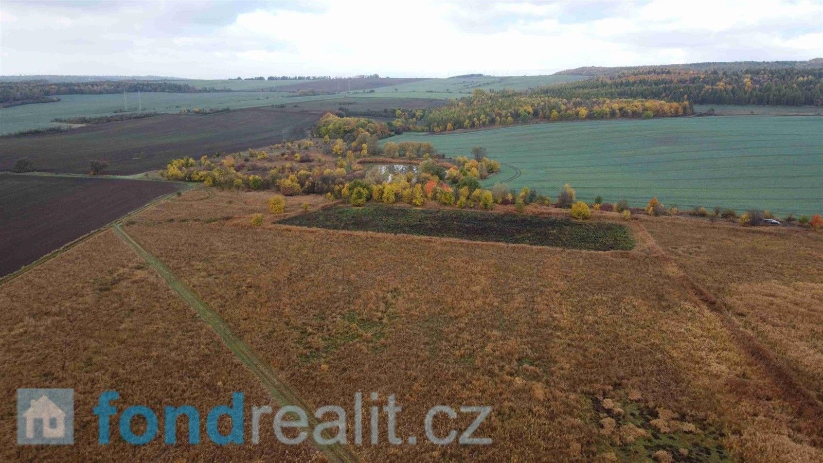 Prodej zemědělský pozemek - Bečov, 41 168 m²