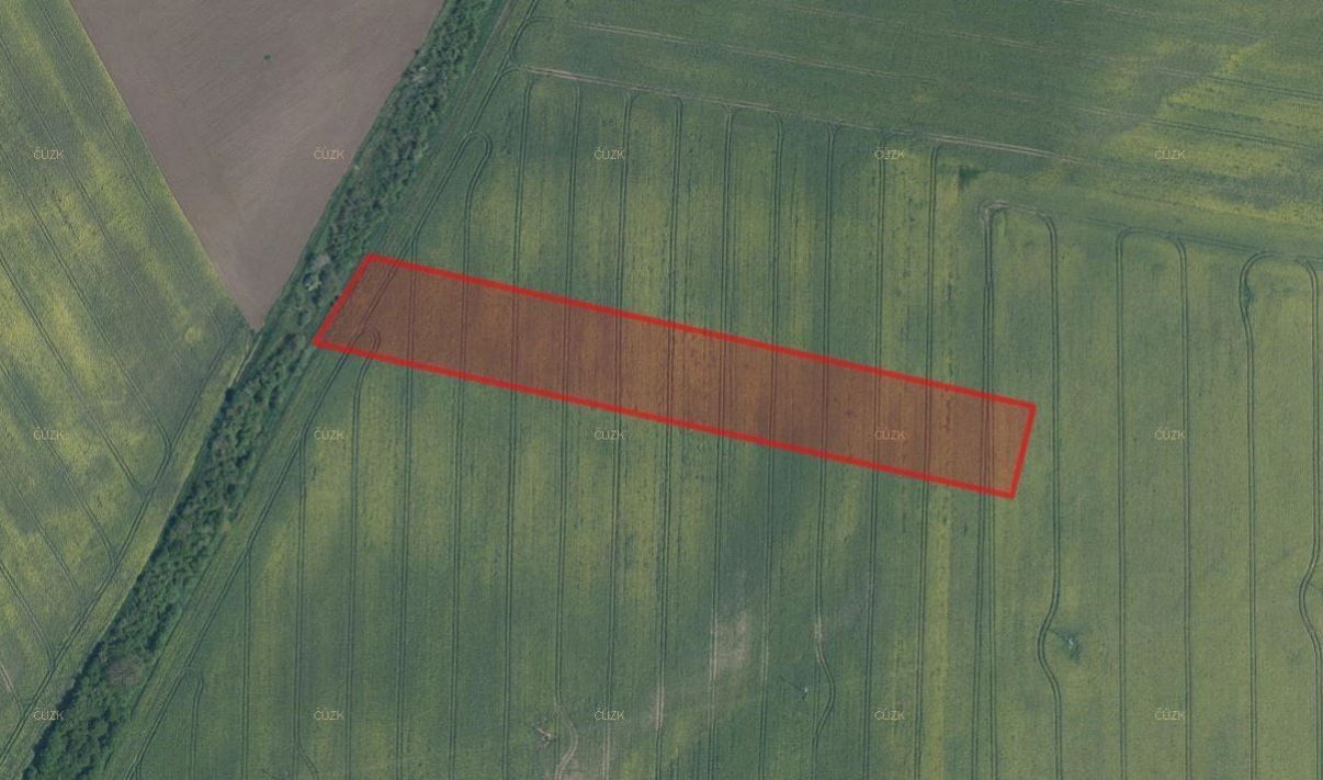 Prodej zemědělský pozemek - Býkev, 40 729 m²