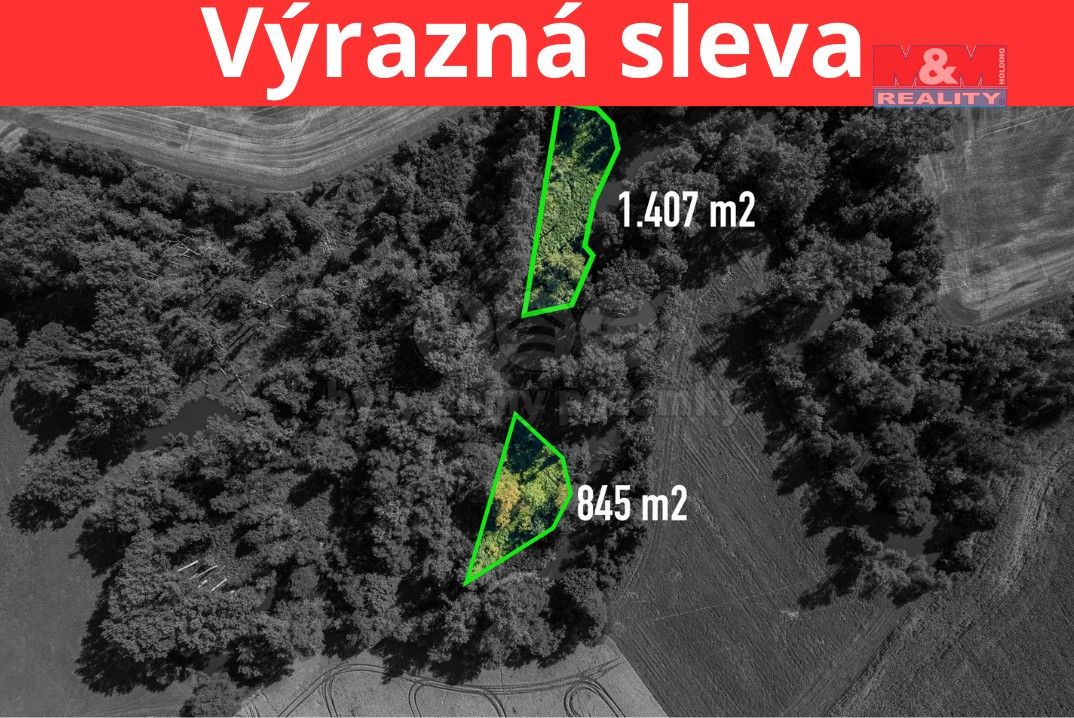 Lesy, Horka nad Moravou, 783 35, 2 252 m²