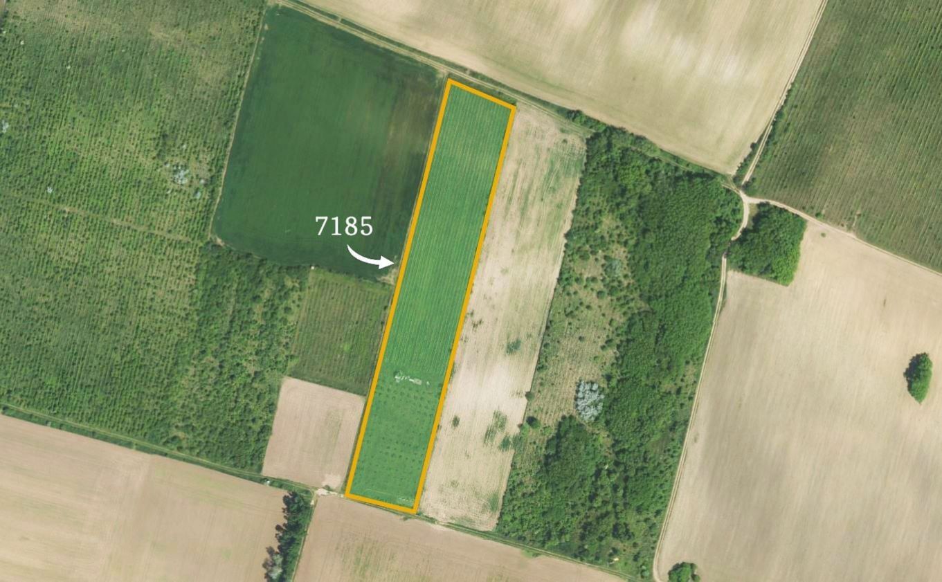 Zemědělské pozemky, Křídlůvky, 15 125 m²