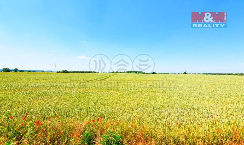 Prodej zemědělský pozemek - Kostelec nad Labem, 277 13, 73 271 m²