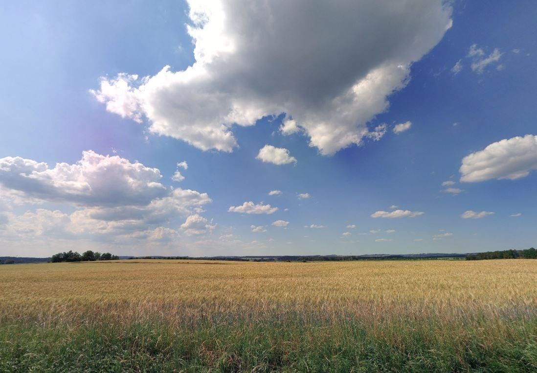 Prodej zemědělský pozemek - Řepeč, 5 480 m²