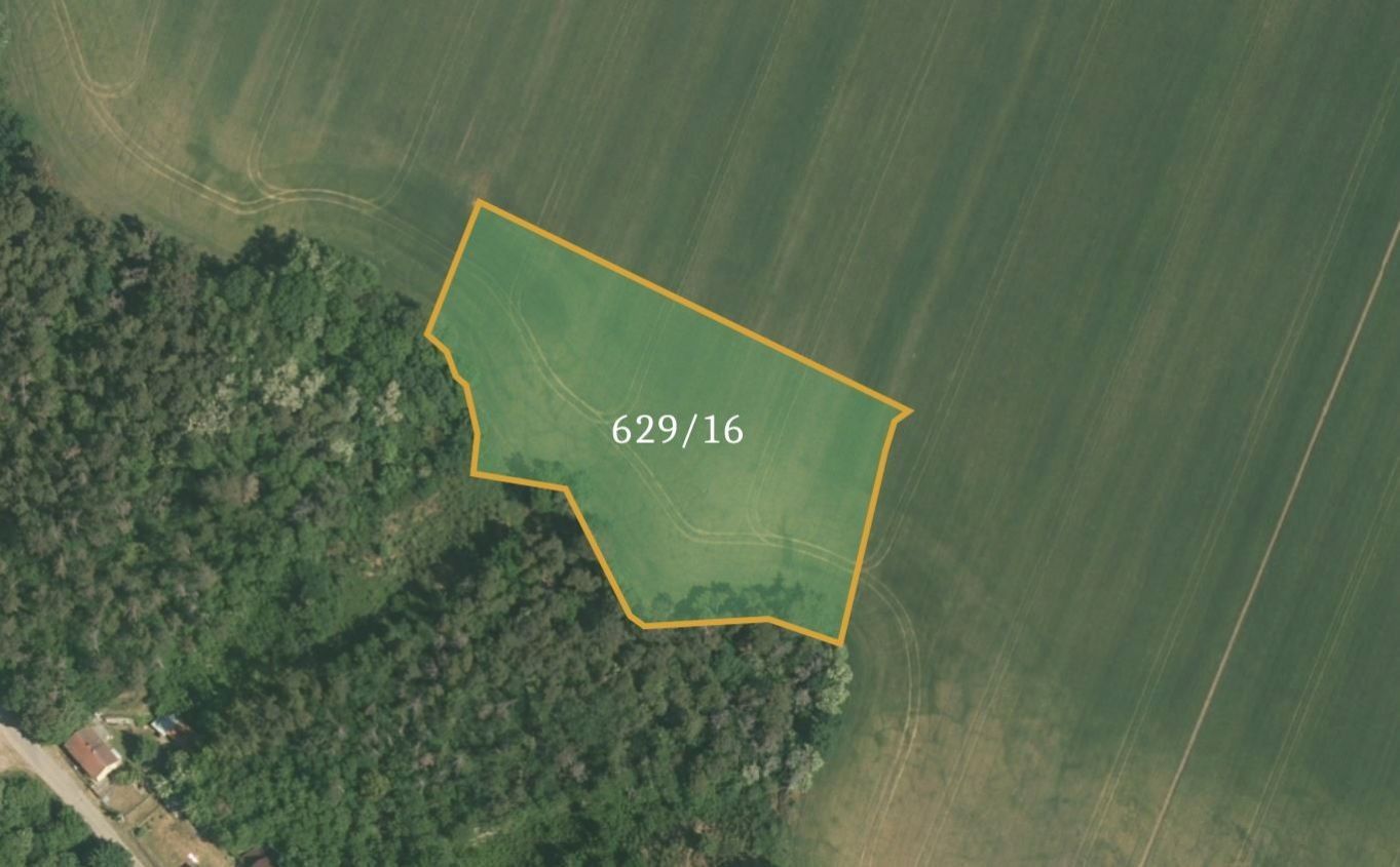 Prodej zemědělský pozemek - Sazená, 15 379 m²