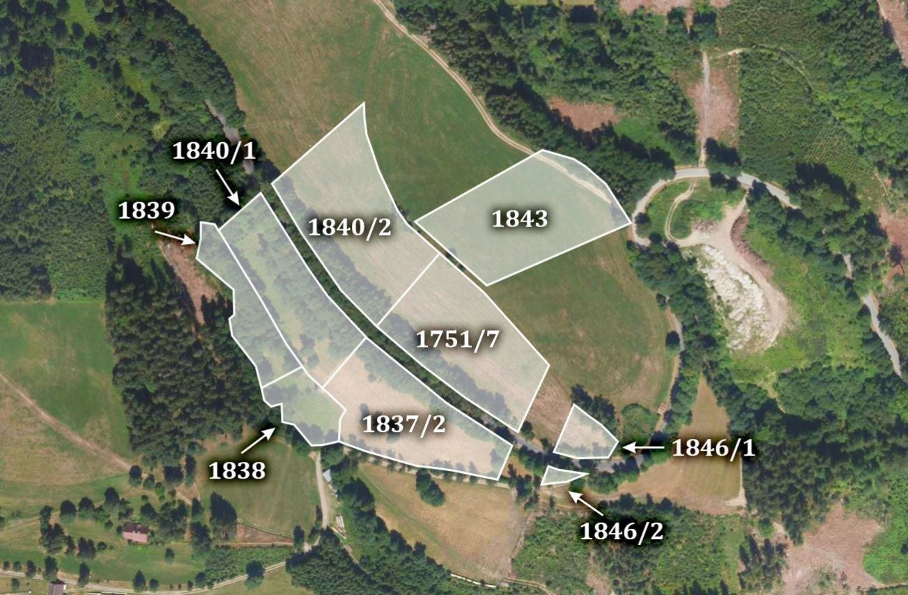 Prodej zemědělský pozemek - Sklenařice, Vysoké nad Jizerou, 21 482 m²