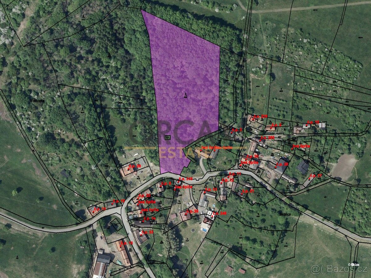 Prodej les - Třebívlice, 411 15, 15 940 m²