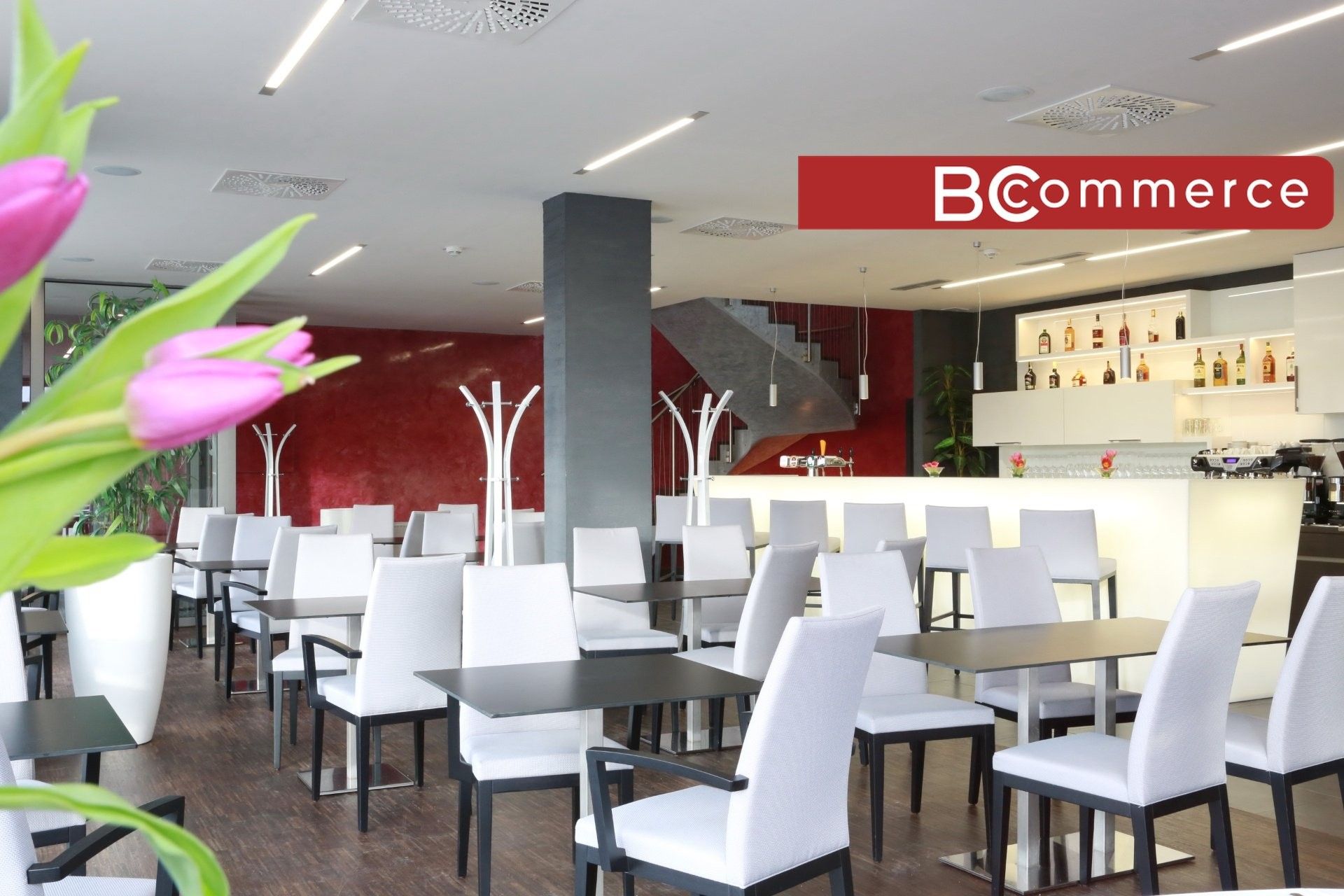 Restaurace, Bohunice, Brno, 410 m²
