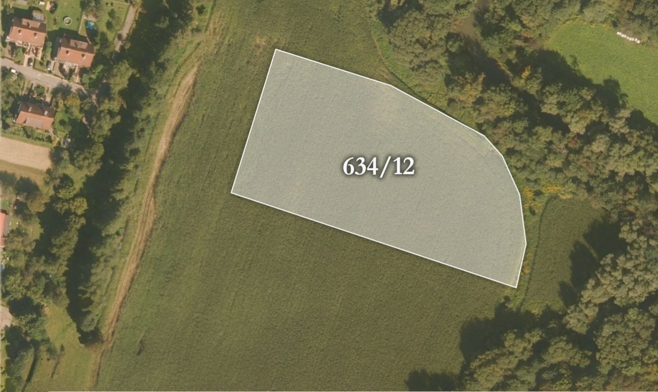 Prodej zemědělský pozemek - Albrechtice, 10 249 m²
