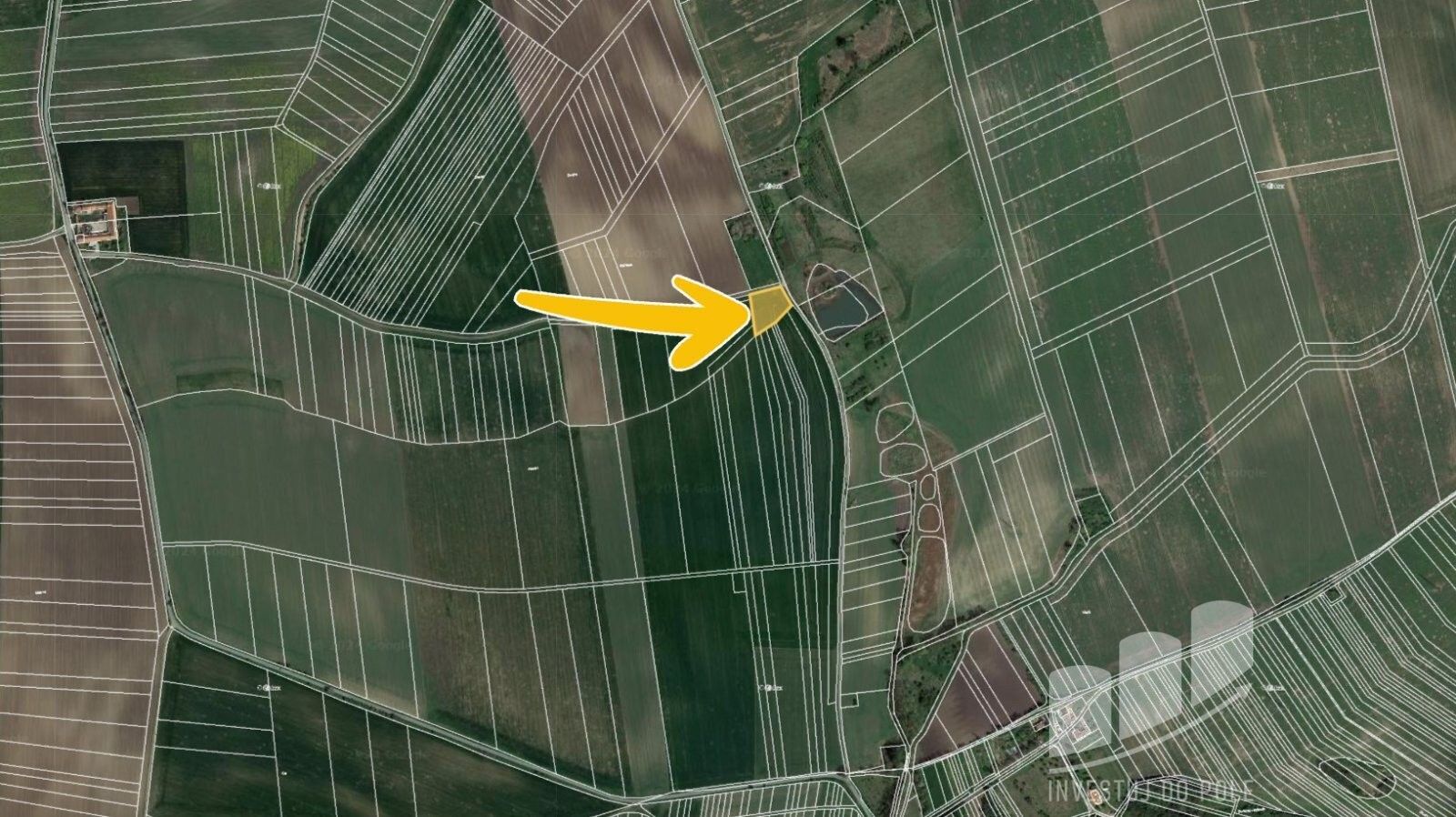 Prodej zemědělský pozemek - Čechyně, Rousínov, 3 129 m²