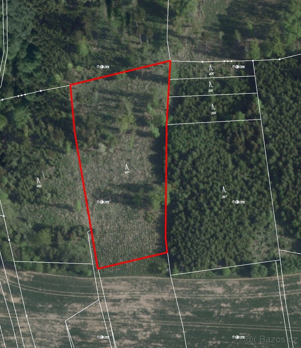 Prodej les - Hořičky, 552 05, 8 339 m²