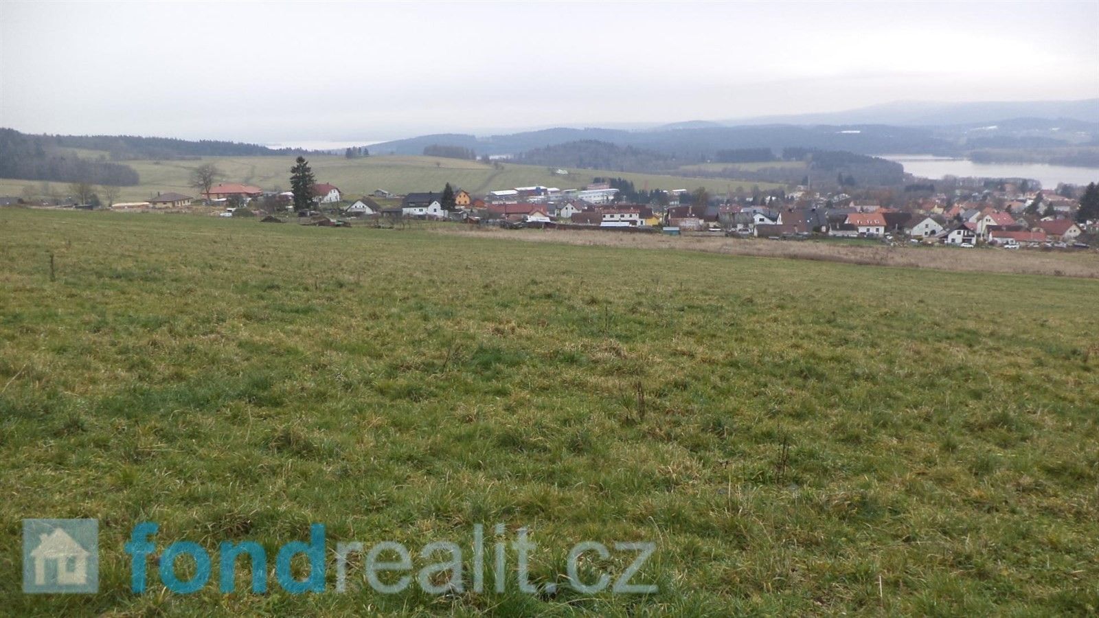 Prodej zemědělský pozemek - Horní Planá, 45 926 m²