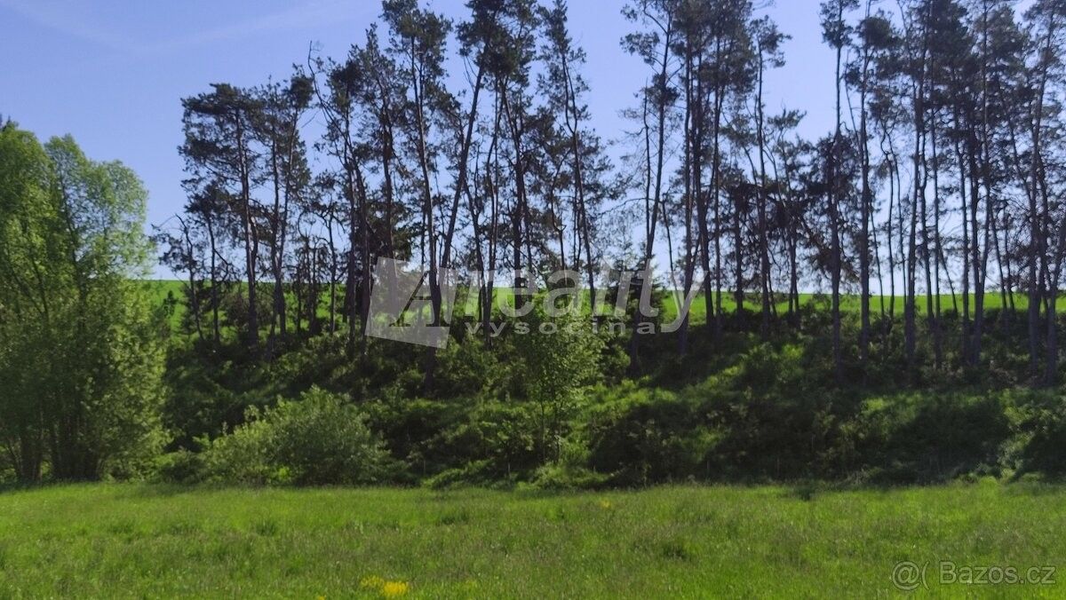 Lesy, Měřín, 594 42, 593 m²