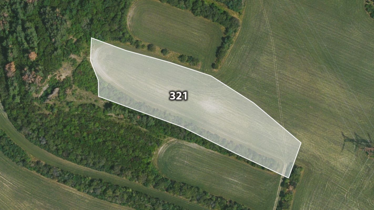 Prodej zemědělský pozemek - Štětí, 10 669 m²