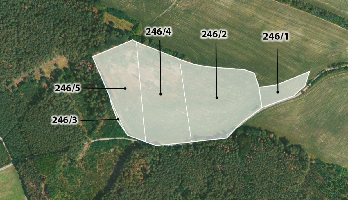 Prodej zemědělský pozemek - Štětí, 23 430 m²