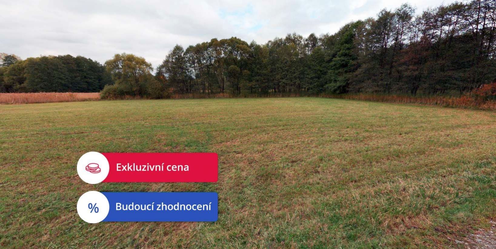 Prodej louka - Ždírec nad Doubravou, 8 006 m²