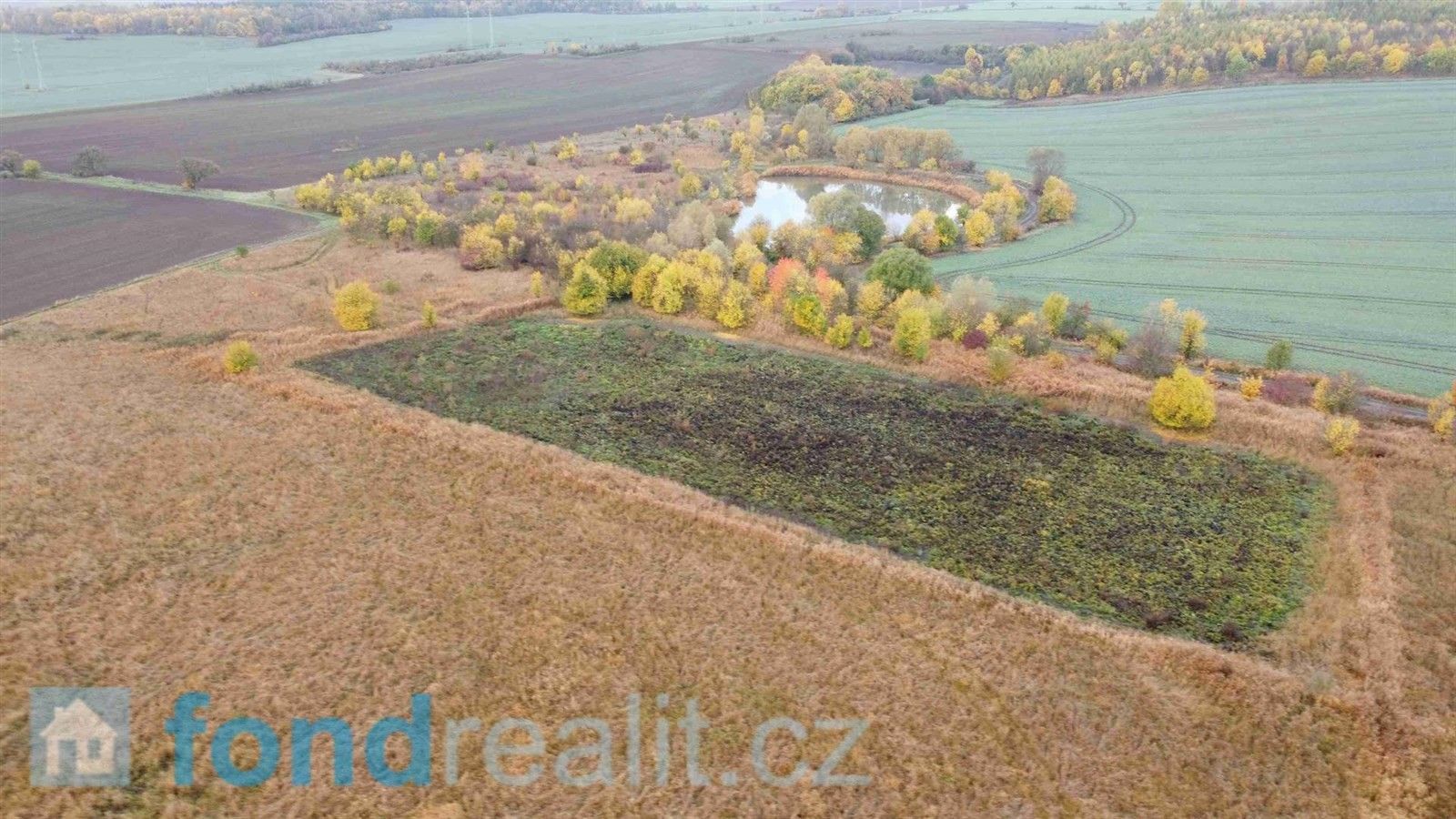 Prodej pozemek - Bečov, 47 389 m²