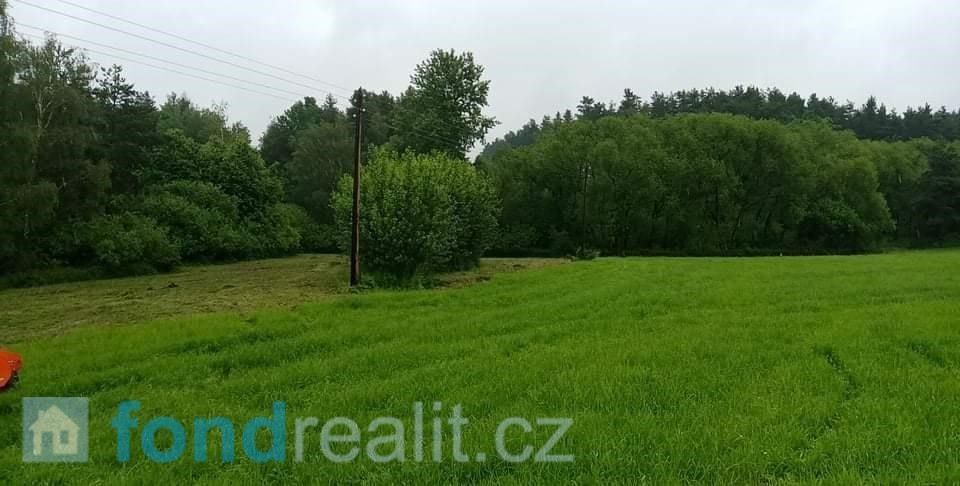 Prodej pozemek - Borovany, 3 597 m²