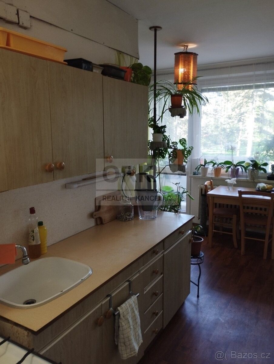 Prodej byt 1+1 - Olomouc, 779 00, 47 m²
