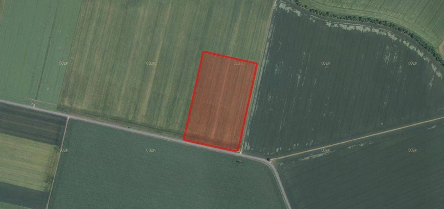 Prodej zemědělský pozemek - Loučany, 10 790 m²