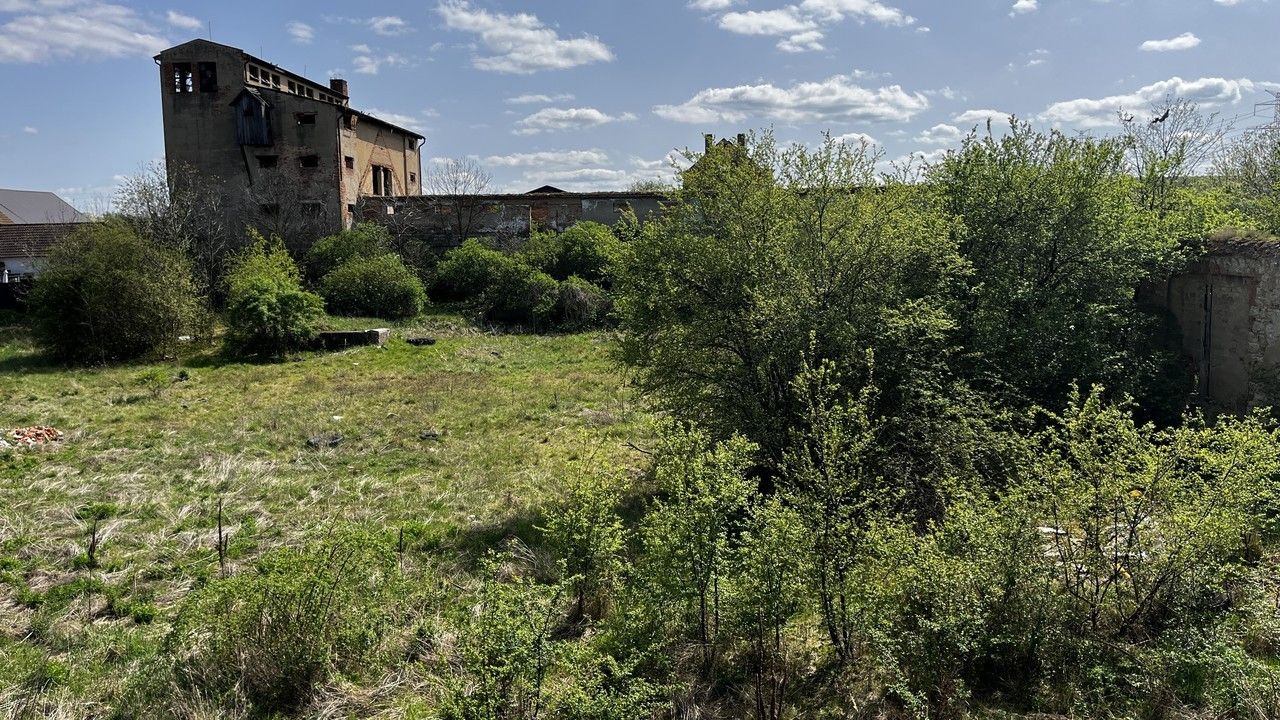 Prodej pozemek pro bydlení - Sýrovice, Podbořany, 8 775 m²