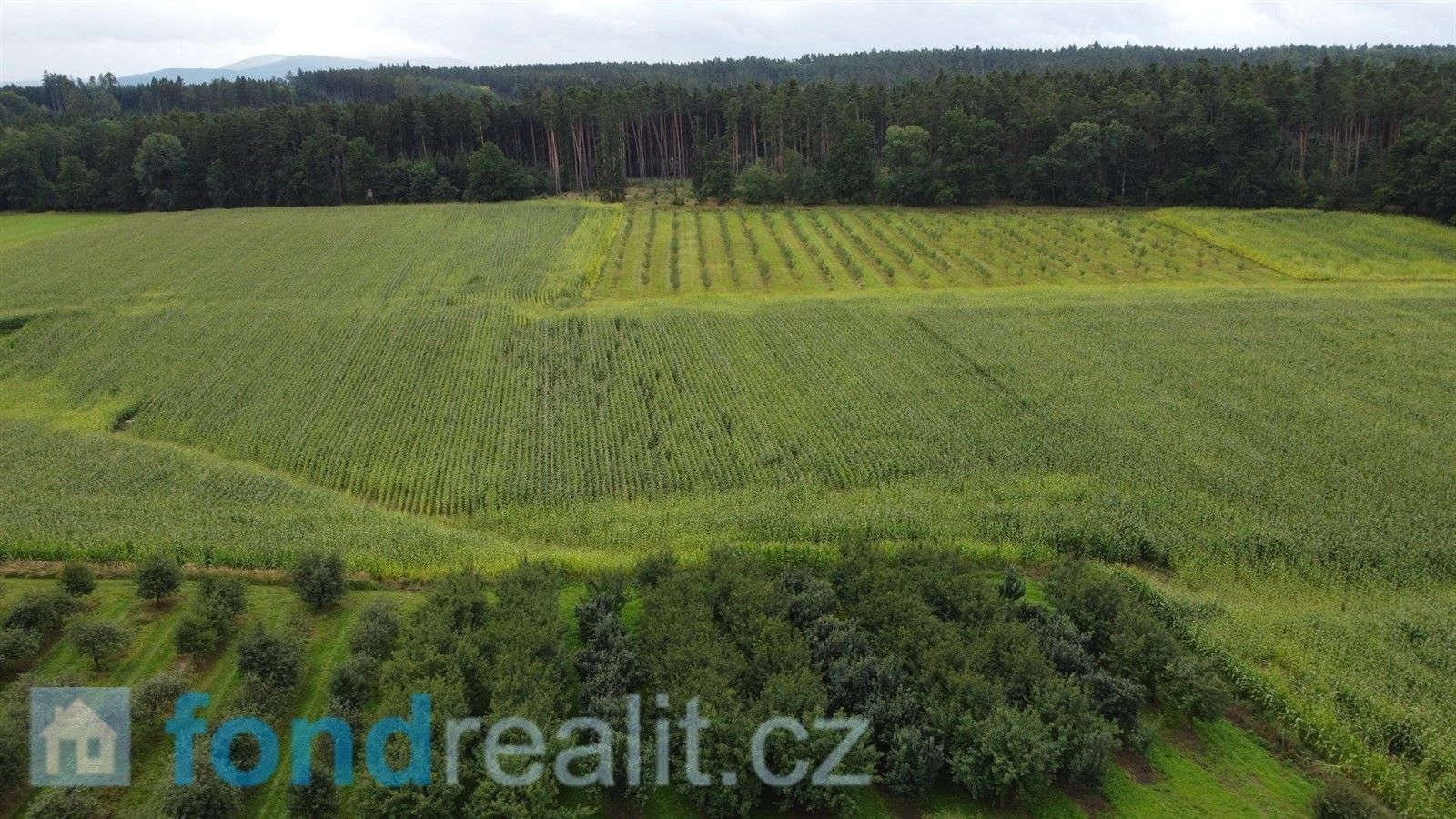 Prodej zemědělský pozemek - Krtely, Malovice, 4 926 m²