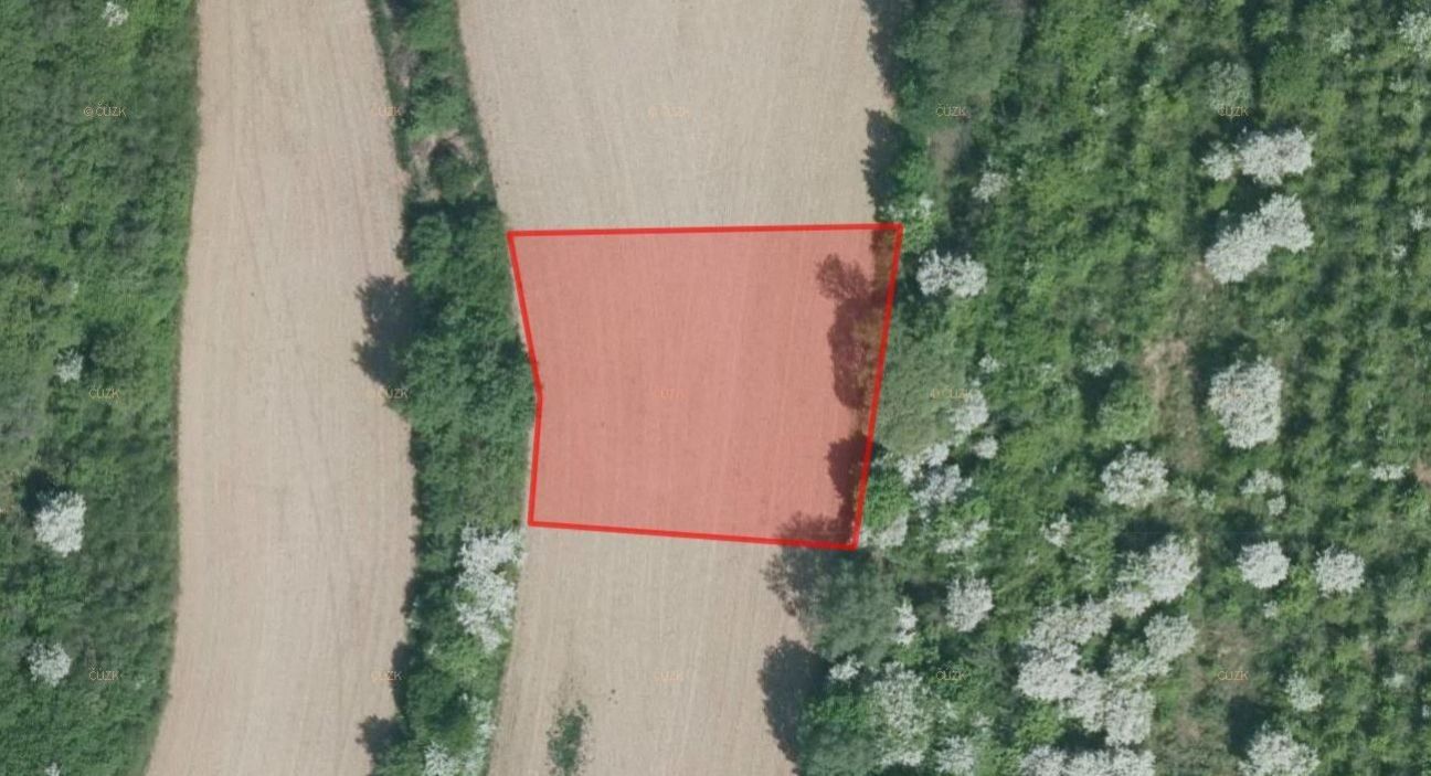 Prodej zemědělský pozemek - Lovčice, 5 984 m²