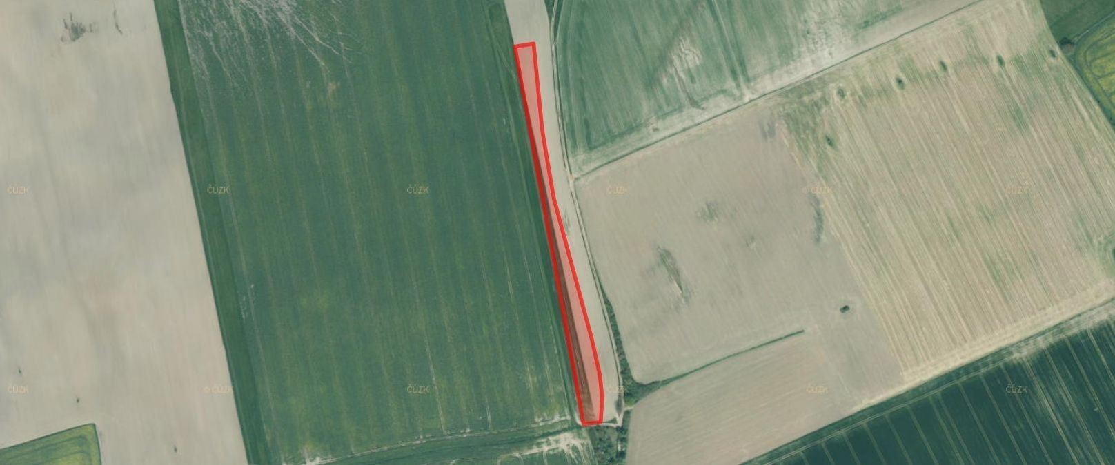 Zemědělské pozemky, Střížovice, 10 880 m²