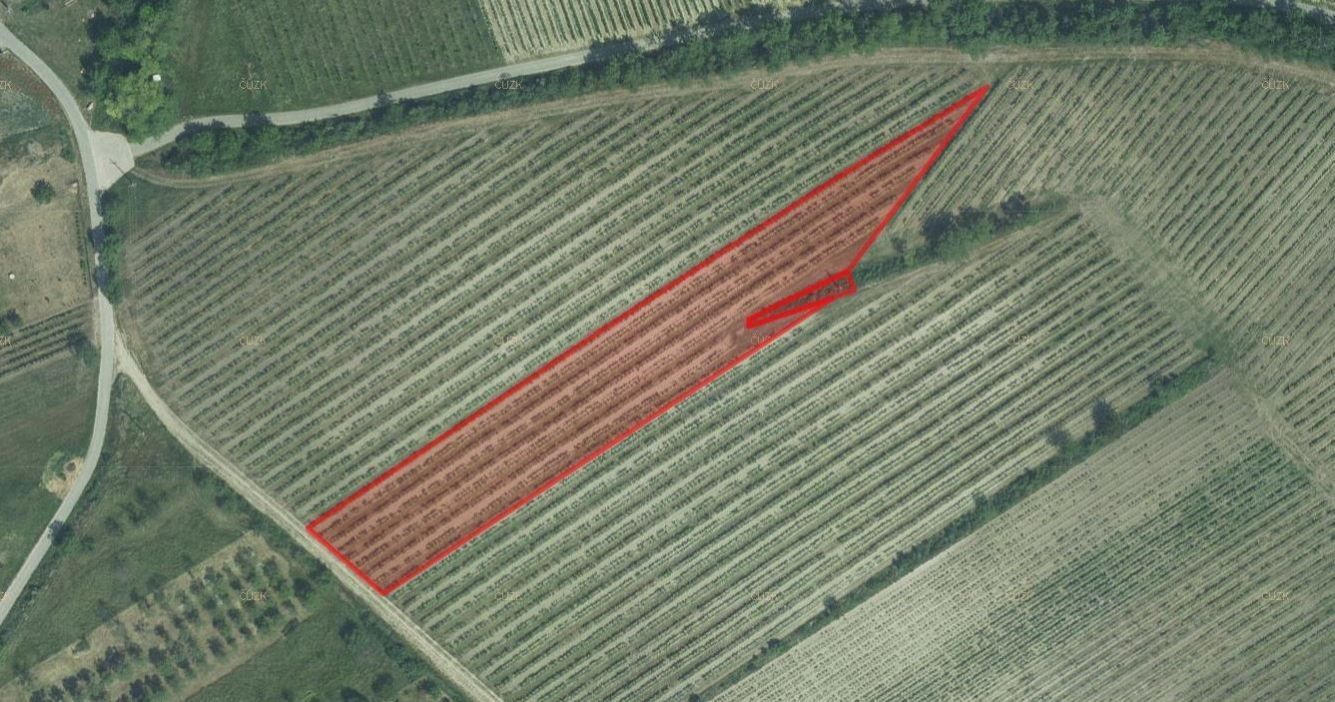 Prodej zemědělský pozemek - Horní Věstonice, 11 161 m²