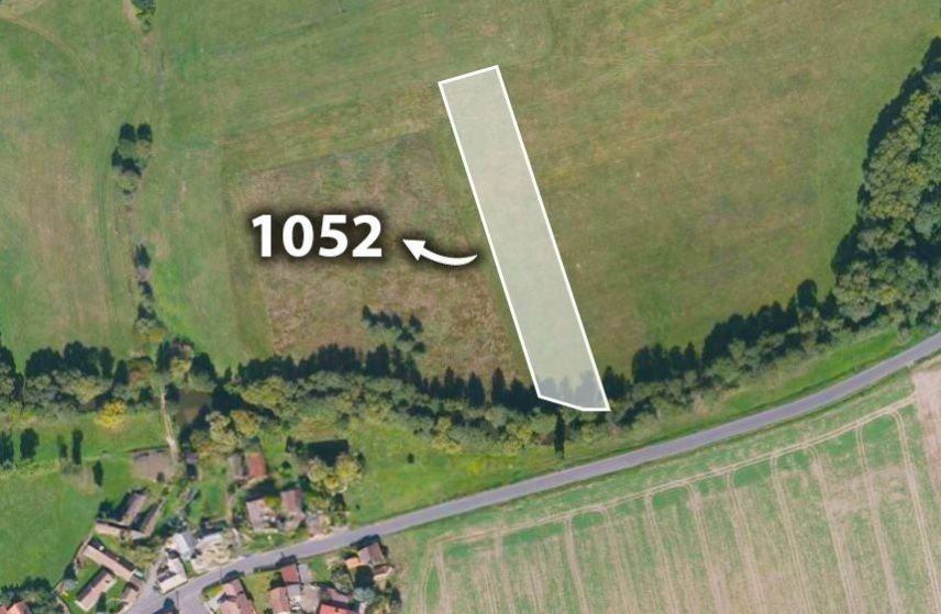 Prodej zemědělský pozemek - Blížejov, 12 396 m²