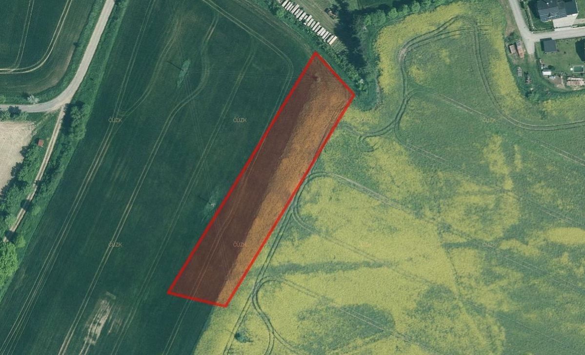 Prodej zemědělský pozemek - Dražíč, 4 916 m²