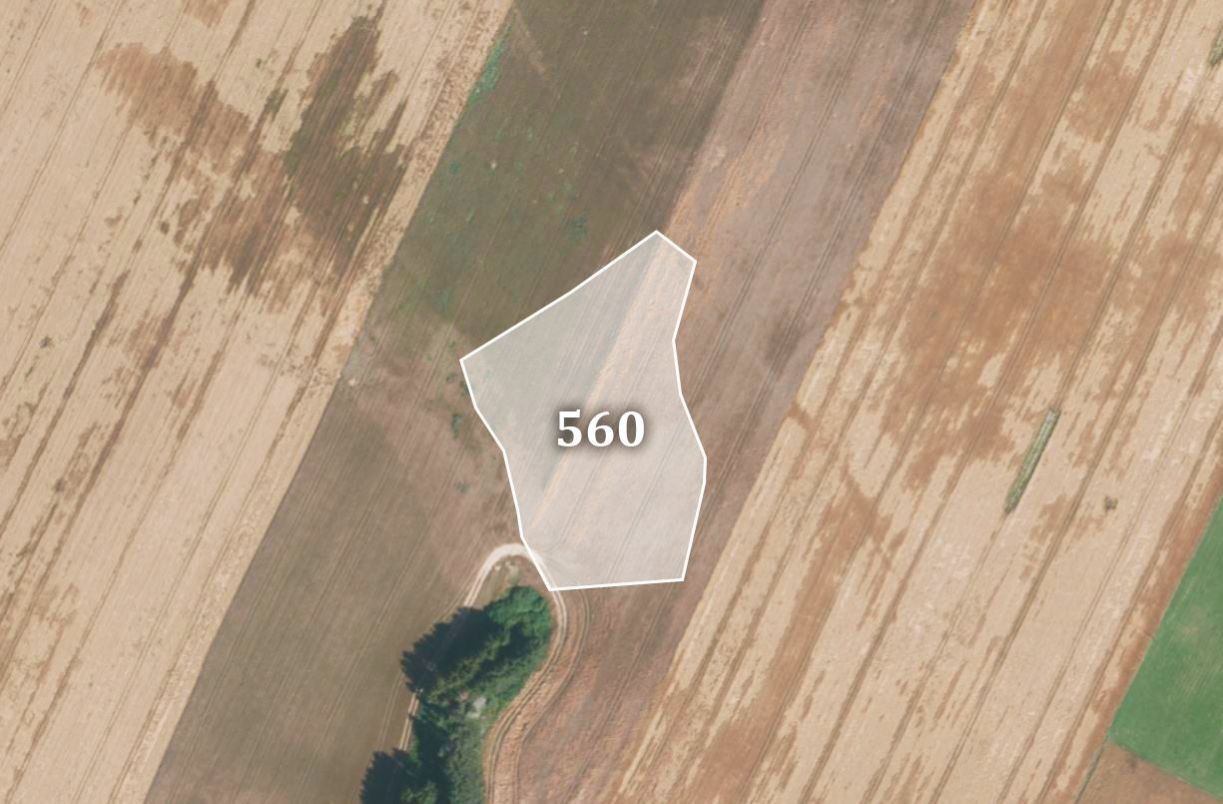 Prodej zemědělský pozemek - Šebířov, 7 815 m²