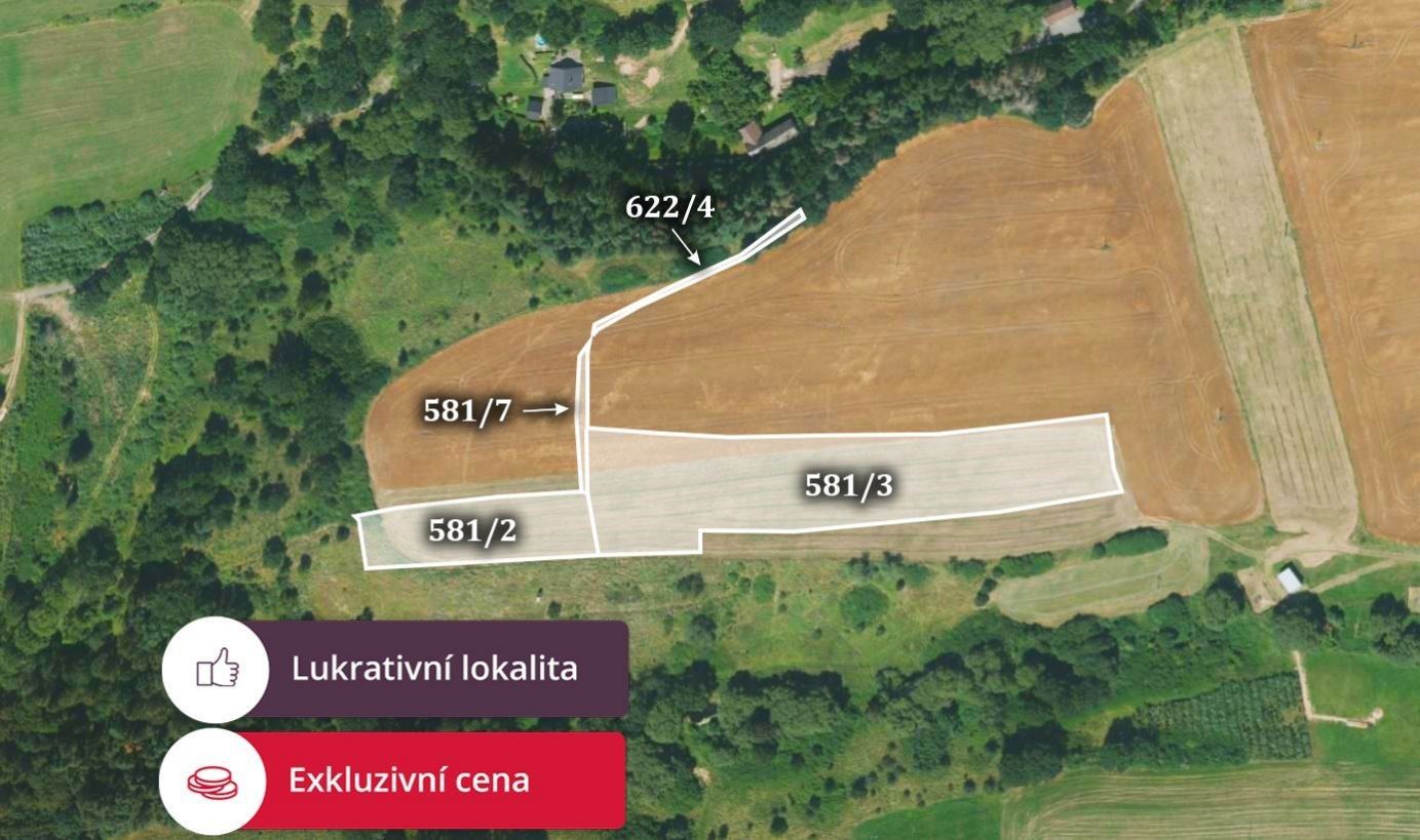 Prodej zemědělský pozemek - Kostelec nad Vltavou, 3 248 m²