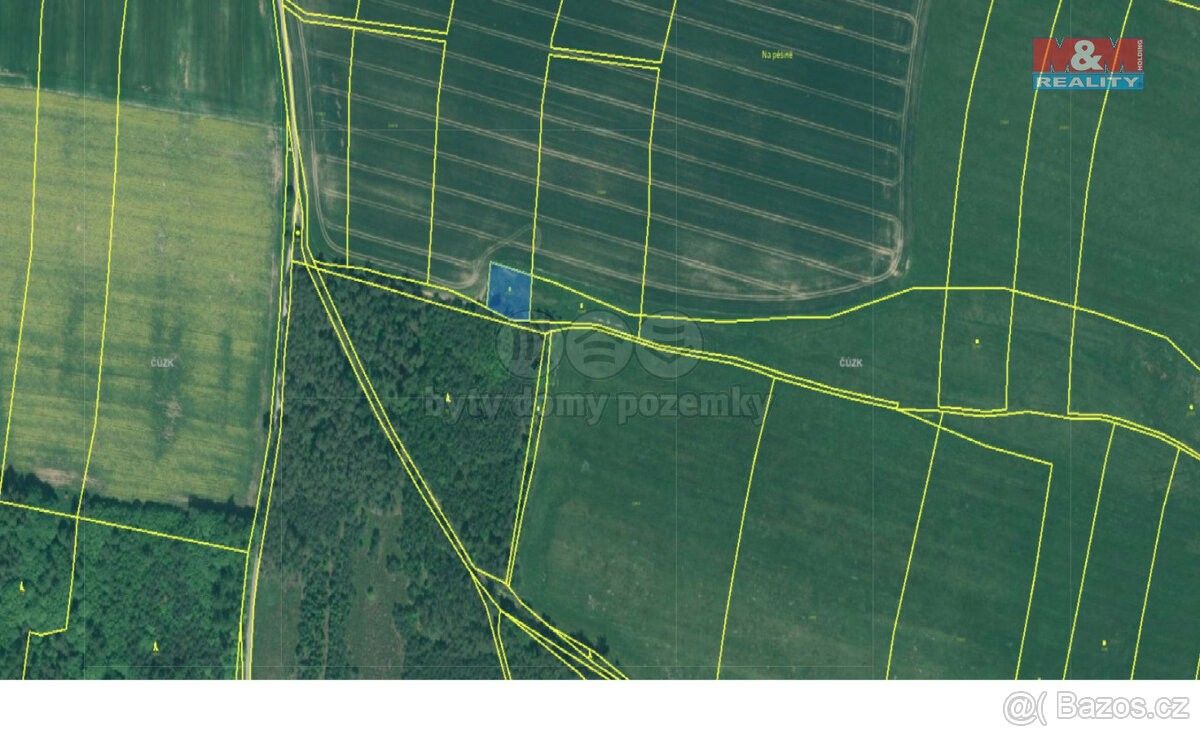 Prodej zemědělský pozemek - Bor u Tachova, 348 02, 81 315 m²