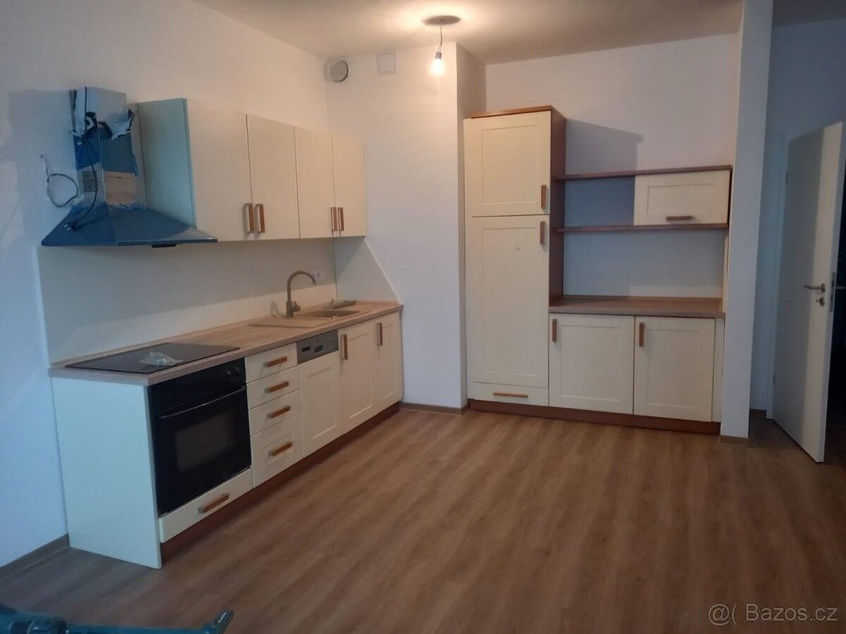 Pronájem byt 1+kk - Plzeň, 301 00, 54 m²