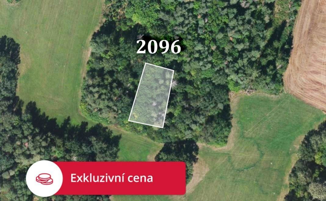 Prodej les - Strážovice, Pačejov, 5 682 m²