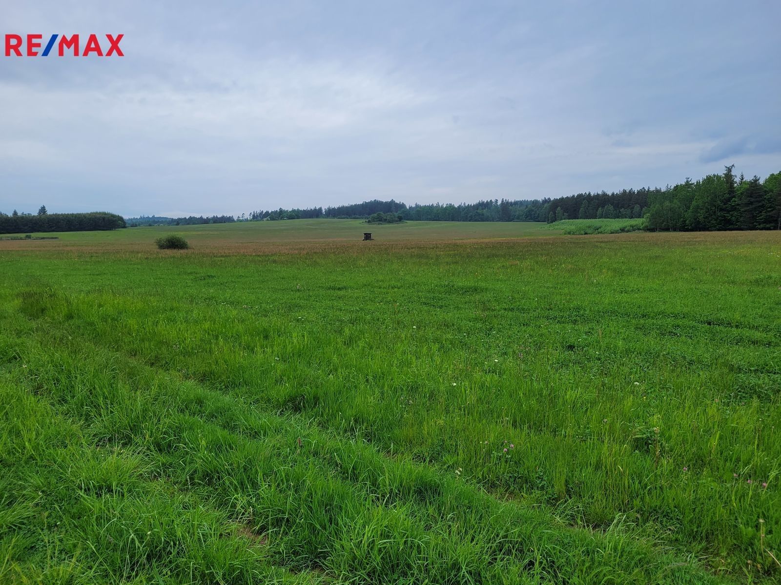 Prodej zemědělský pozemek - Malá Hraštice, 11 830 m²