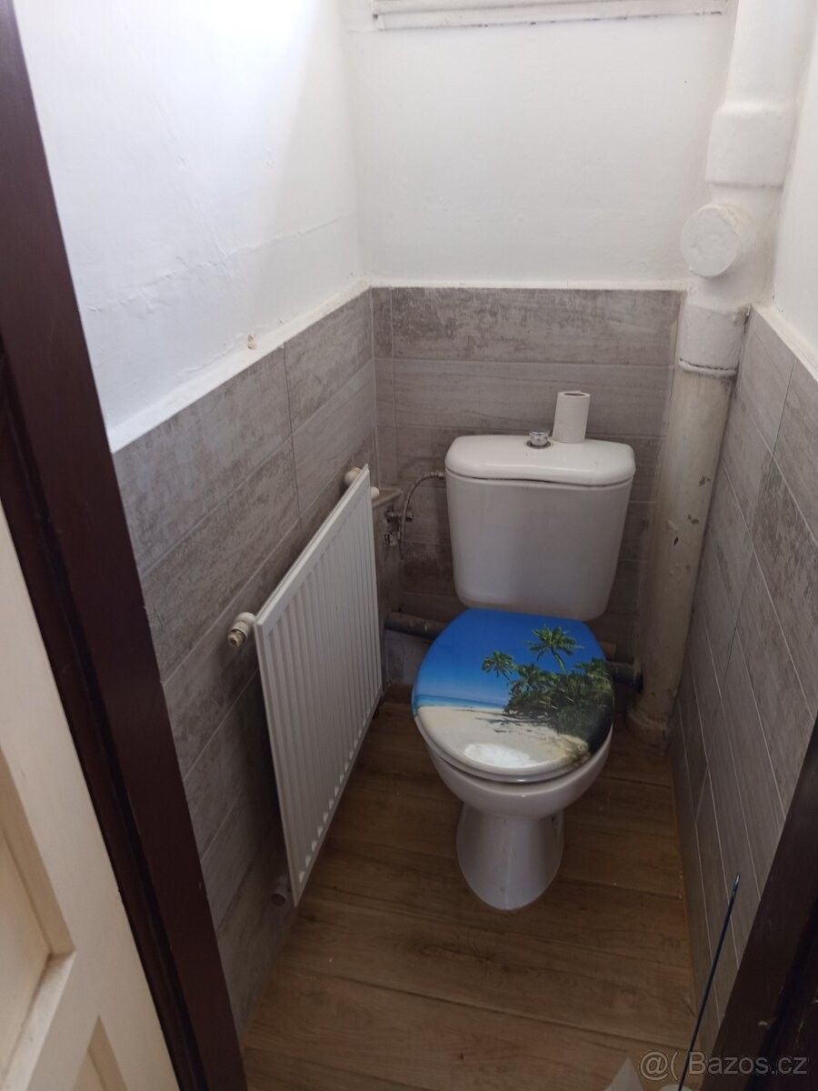 Prodej rodinný dům - Bělá nad Radbuzou, 345 26 - 5